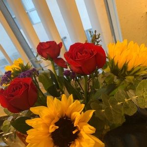 Meet your Posher, Dhalia